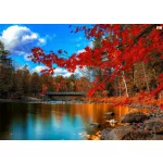 Csodás Ősz számfestő 1000 db-os puzzle