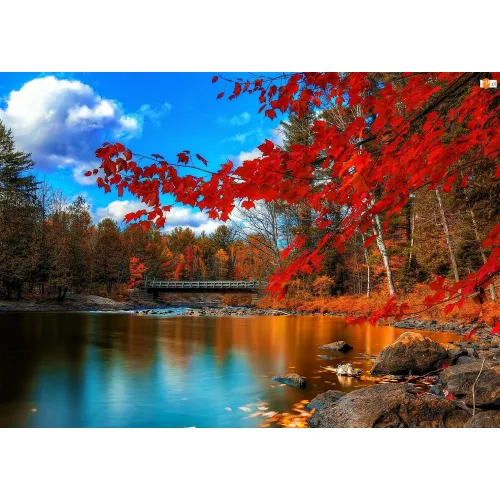 Csodás Ősz számfestő 1000 db-os puzzle