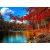 Csodás Ősz számfestő 1000 db-os puzzle