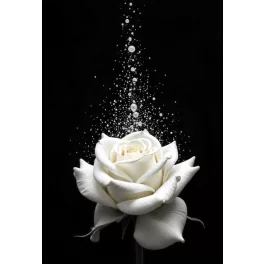  Rózsa cseppekkel- Prémium Gyémántszemes Kirakó Különleges AB és tündérporos Négyzet alakú Gyémántokkal 30x40cm
