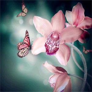 Orchidea Pillangókkal kör alakú kreatív gyémánt kirakó Orchidea Pillangókkal kör alakú kreatív gyémánt kirakó