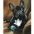 Francia Bulldog labdával kör alakú kreatív gyémánt kirakó 30x40