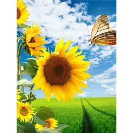   Napraforgó pillangóval kör alakú kreatív gyémánt kirakó 30x40