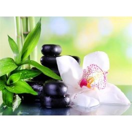   Fehér orchideás Zen kör alakú kreatív gyémánt kirakó 30x40