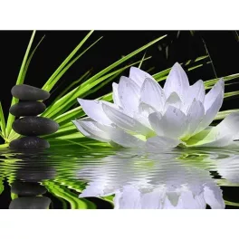   Zen-kövek és a fehér lótusz kép kör alakú kreatív gyémánt kirakó 30x40