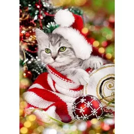   Kiscica karácsonyi köntösben kör alakú kreatív gyémánt kirakó 30x40