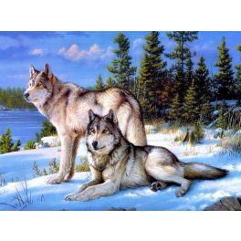   Farkasok a havas erdőben kör alakú kreatív gyémánt kirakó 20x30