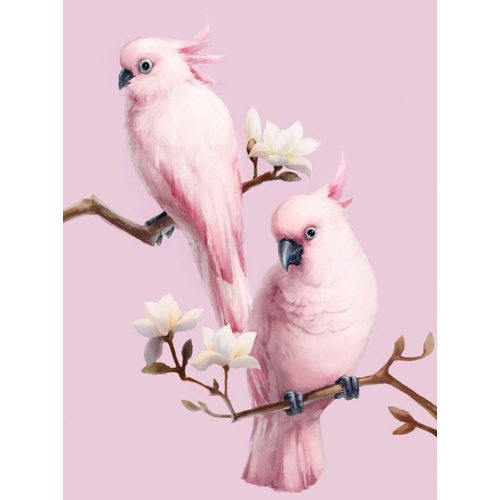 Rózsaszín papagályok Kör alakú Gyémántszemes kirakó 30x40
