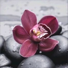   Bordó Orchidea négyzet alakú kreatív gyémánt kirakó 30x30