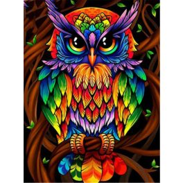   Színes Bagoly négyzet alakú kreatív gyémánt kirakó 30x40
