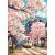Sakura fák között vonat négyzet alakú kreatív gyémánt kirakó 30x40