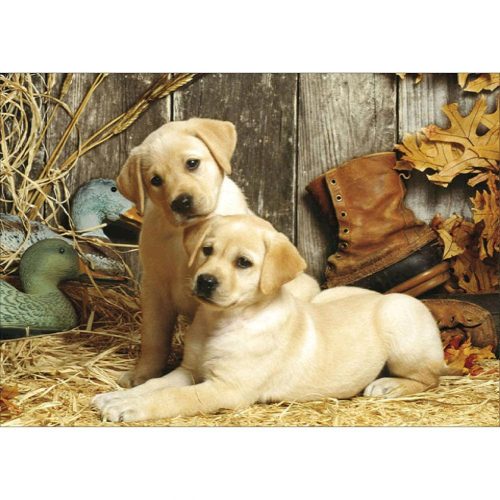 Kis labradorok négyzet alakú kreatív gyémánt kirakó 30x40