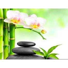   Bambusz nád orchidea négyzet alakú kreatív gyémánt kirakó 30x40