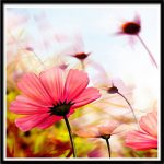 Virágos álom három részes gyémántszemes kirakó négyzet alakú gyémántszemekkel