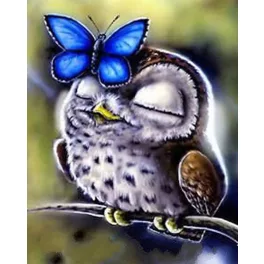   Kis bagoly festés és gyémántszemes kreatív 40x50 cm-es hibrid kép