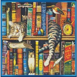 Könyvespolc cicával hímző szett