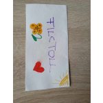 Fejlesztő Festővászon Picasso Palántáknak 3 éves korosztálynak repülőgép 30x30 cm