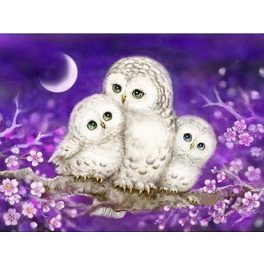   Fehér Baglyok négyzet alakú kreatív gyémánt kirakó 40x50