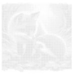 Süni Róka barátság PontKép Készlet Pöttyöző készlet 20x20 cm