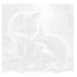 Süni Róka barátság PontKép Készlet Pöttyöző készlet 20x20 cm