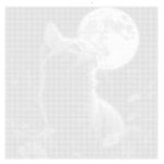 Kiscica PontKép Készlet Pöttyöző készlet 20x20 cm