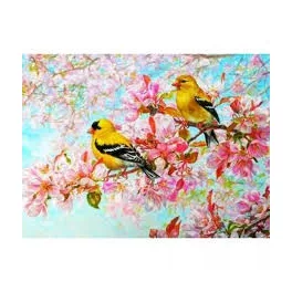 Madarak Négyzet alakú Gyémántszemes kirakó 30x40