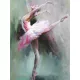 Balerina festés számok alapján kreatív készlet kerettel 30x40