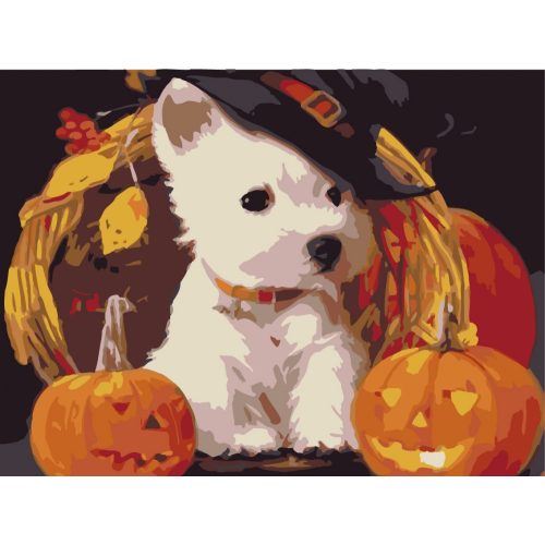 Halloweeni kutya festés számok alapján kreatív készlet kerettel