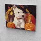 Halloweeni kutya festés számok alapján kreatív készlet kerettel