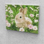 Nyuszi százszorszéppel festés számok alapján kreatív készlet keret nélkül