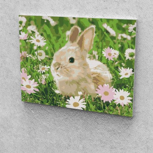 Nyuszi százszorszéppel festés számok alapján kreatív készlet keret nélkül