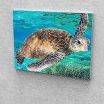 Teknős festés számok alapján kreatív készlet kerettel