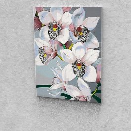   Fehér orchideák festés számok alapján kreatív készlet keret nélkül 50x60