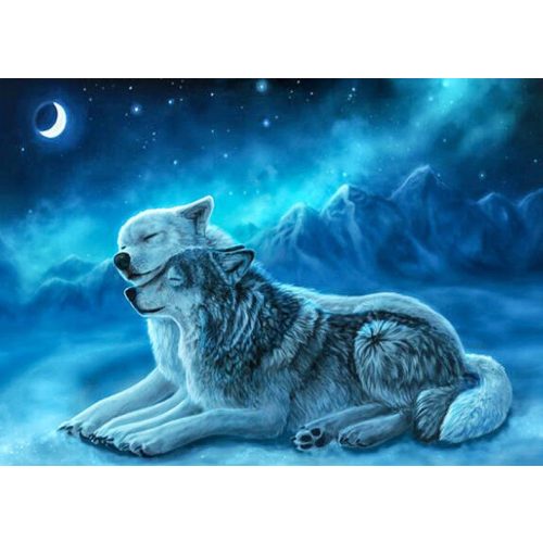 Farkasok festés számok alapján kreatív készlet 40x50