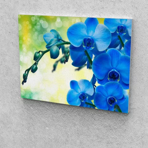 Csodakék Orchidea festés számok alapján kreatív készlet keret nélkül 40x50